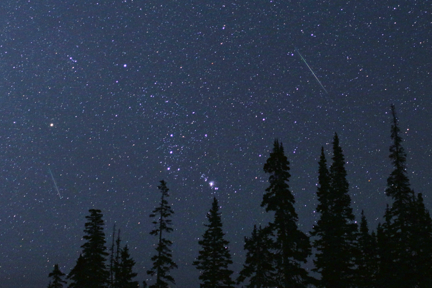 Orionid Meteor Shower Expected to Peak Tonight News