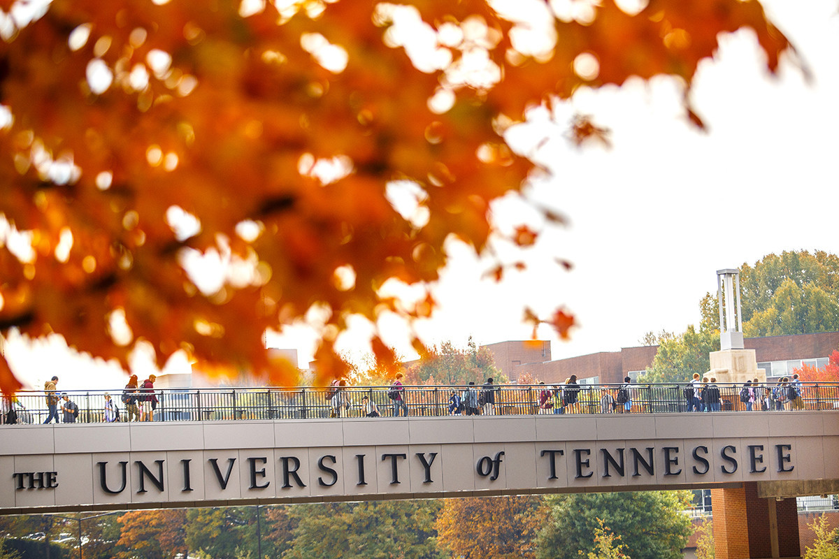 UT Recognized for Excellence in Business, Engineering, and Nursing Programs