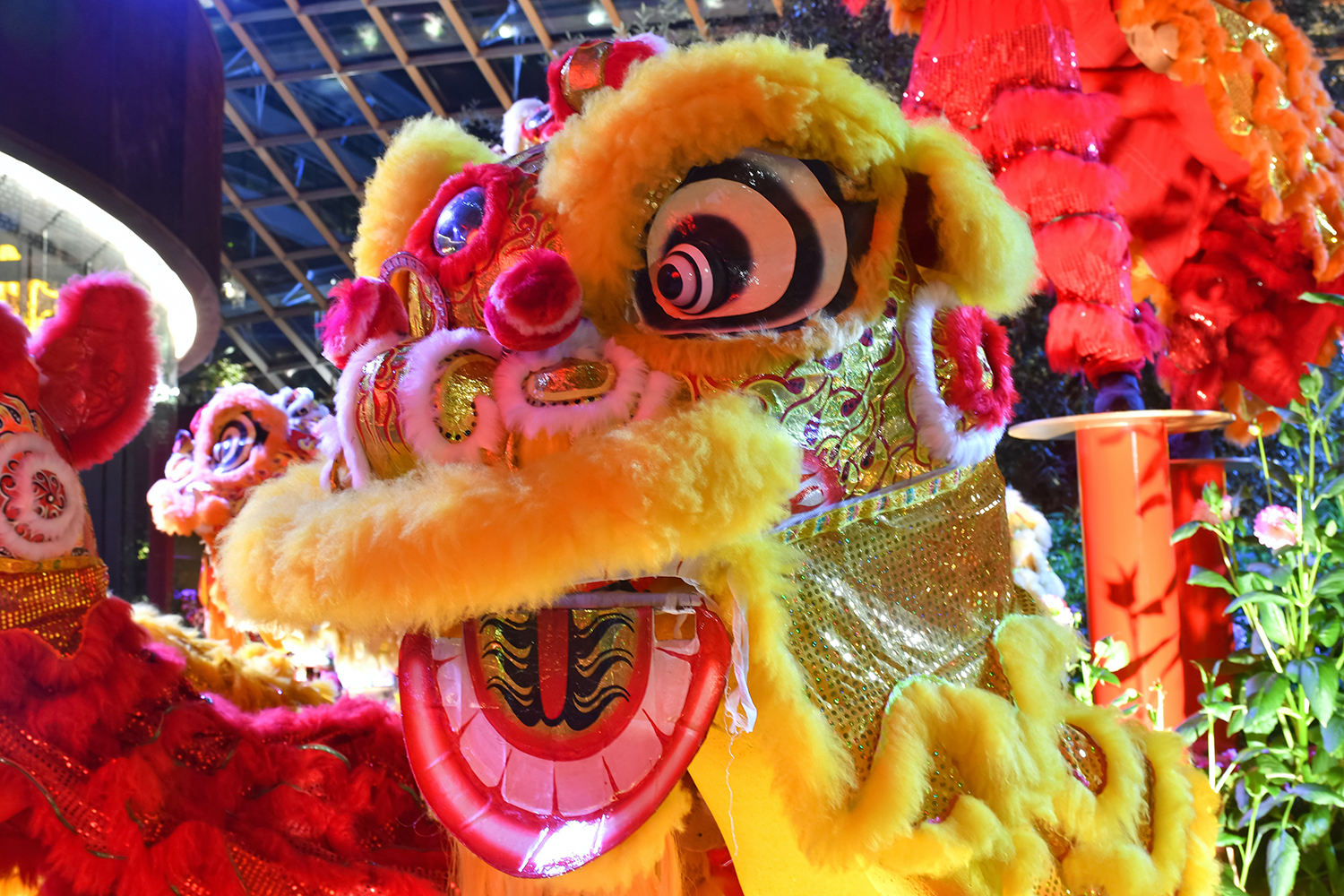 Lunar New Year of Rabbit - Georgia Asian Times