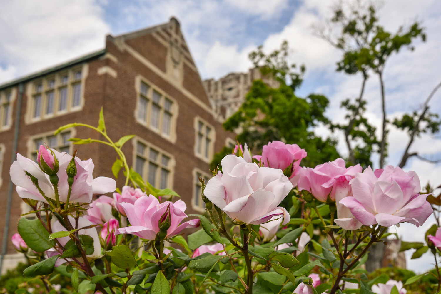 UT Announces Spring 2023 Dean’s List - News