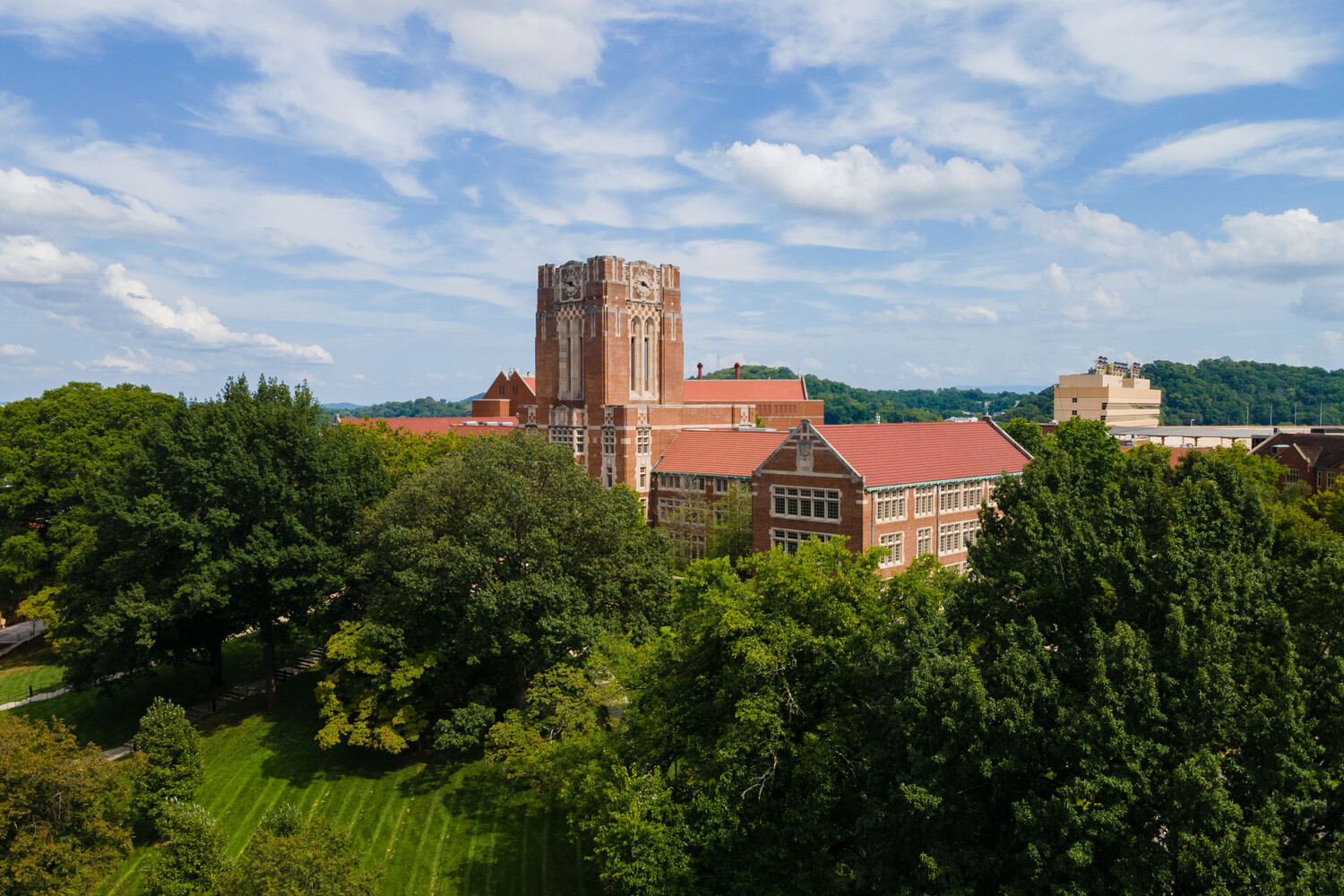 Maroulas Appointed Associate Vice Chancellor, Director of AI Tennessee ...